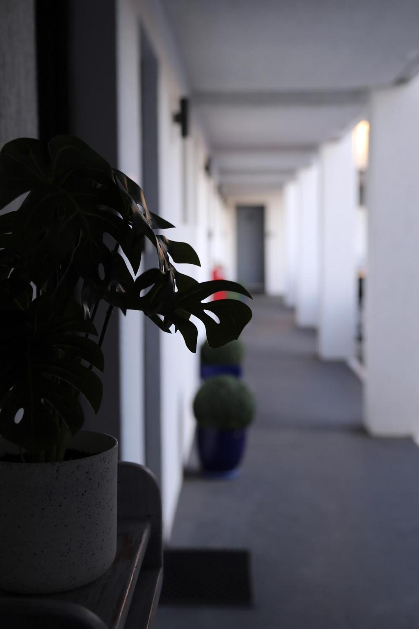 Zorba Waterfront Motel Batemans Bay Esterno foto